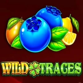 Wild Traces online slot from Amusnet Interactive – play at casoolascasino.com